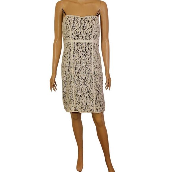 JS Collections Lace Strapless Dress (Size 8) - Picture 7 of 8